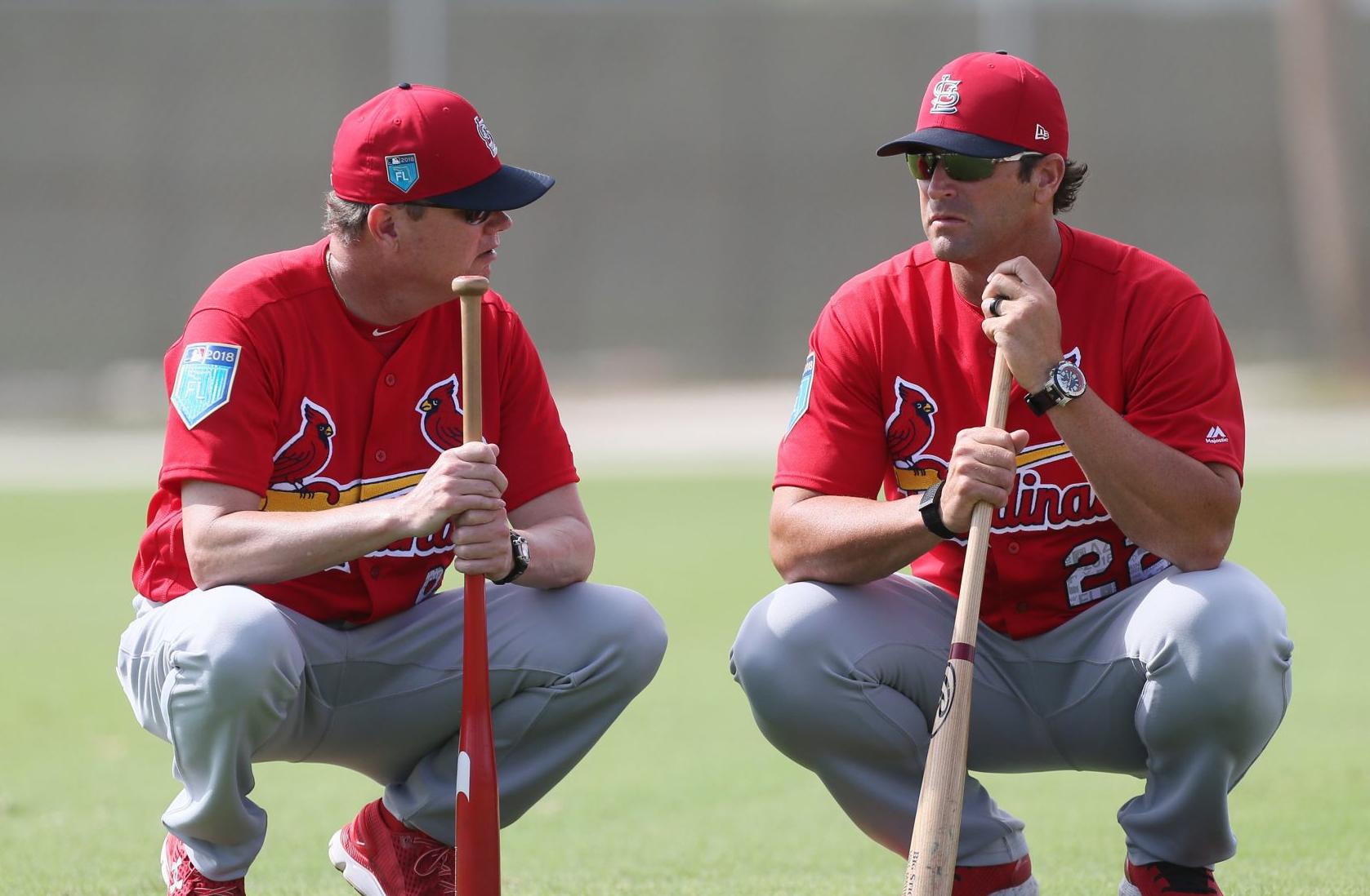 Bench coach Mike Shildt